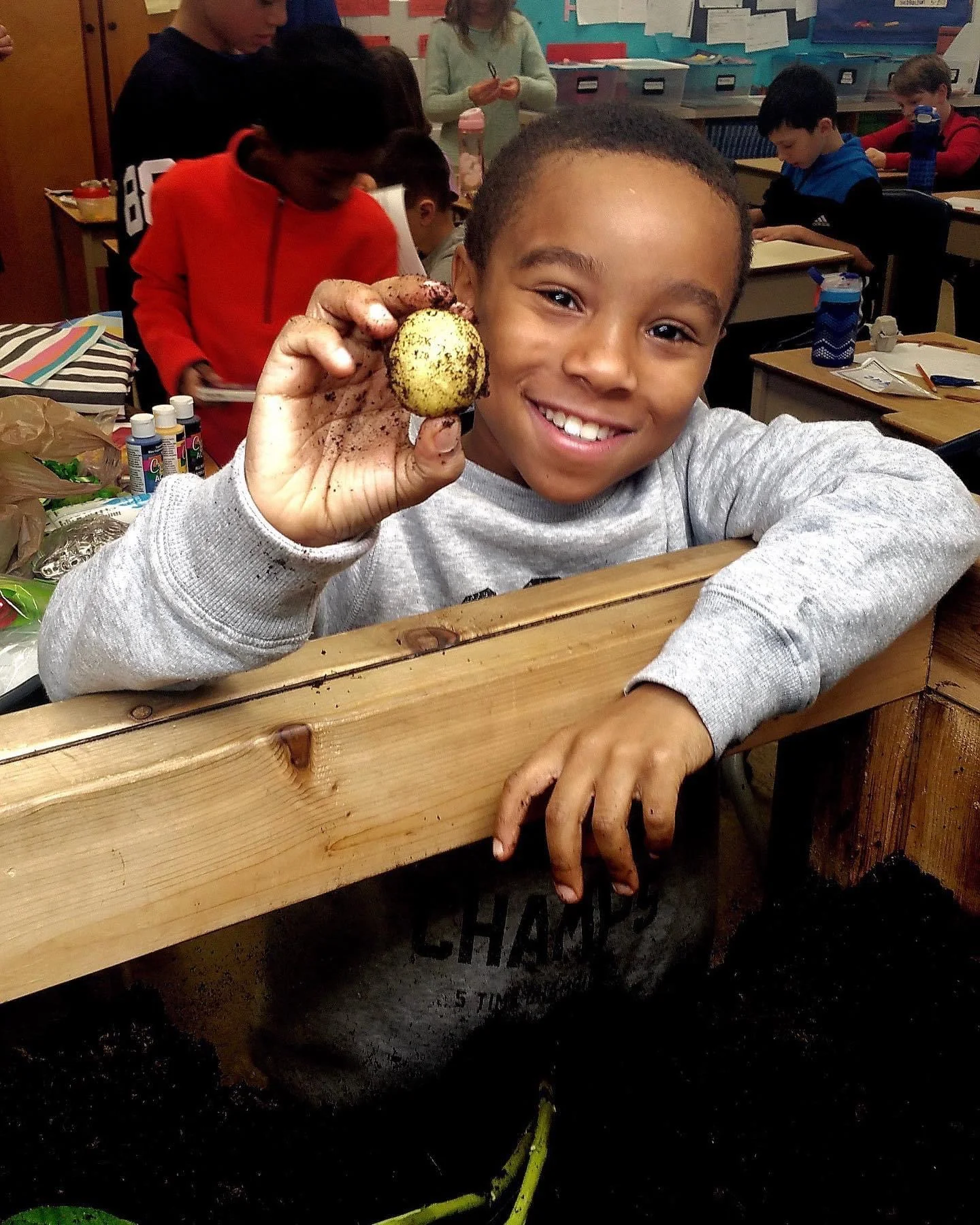A student proudly holding up a potato grown in his classroom's Junior Green Thumbs garden