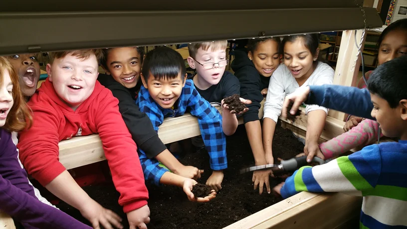 A grade 5 class digging into the soil together on garden planting day