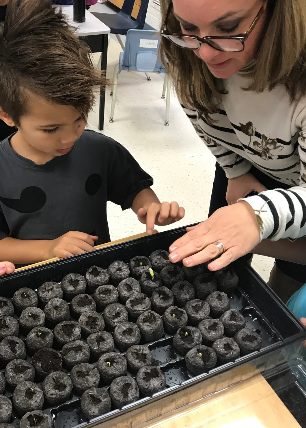 A teacher and student checking a tray of seedlings just starting to sprout