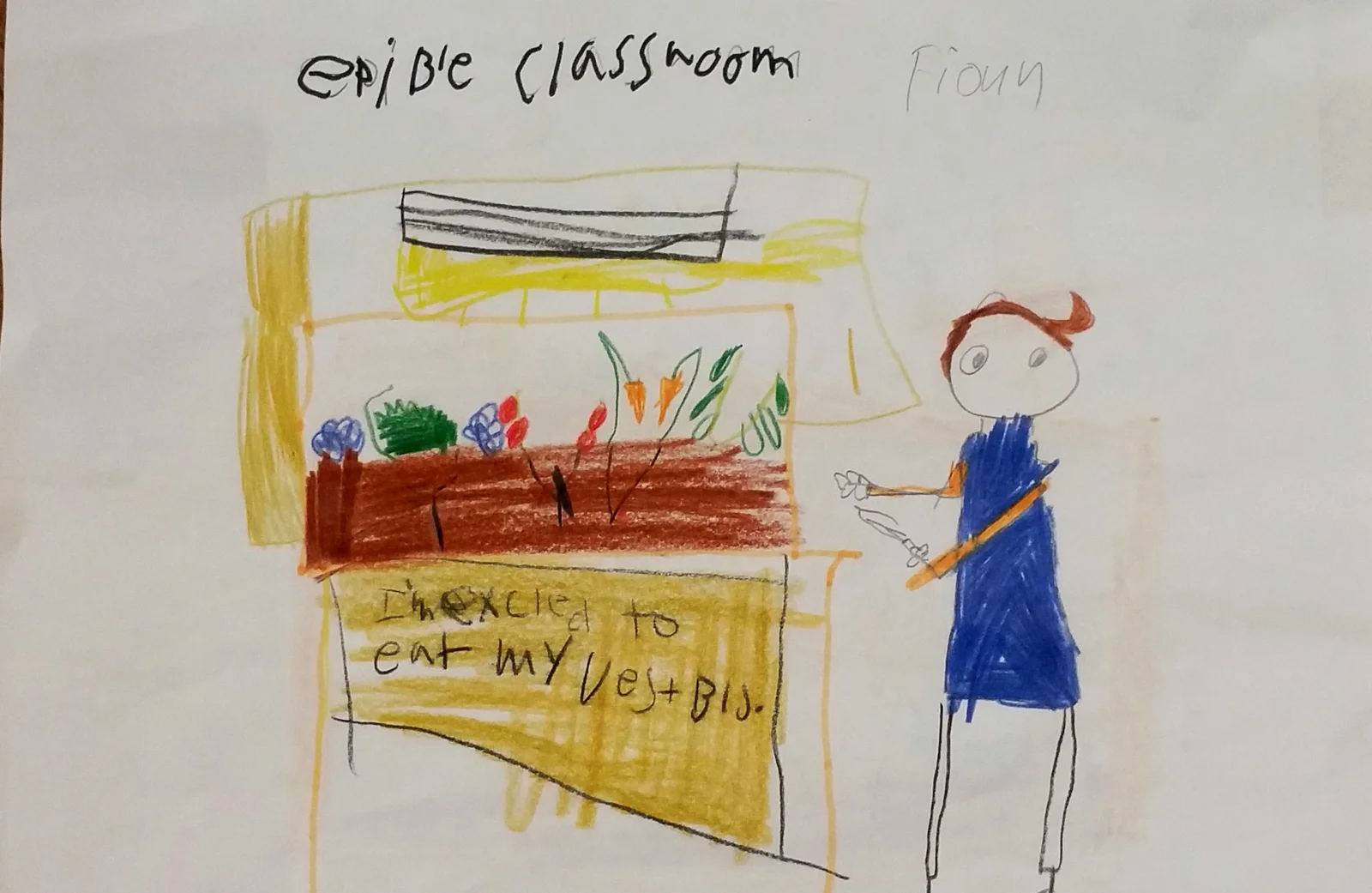 A child's hand-drawn artwork from the original Edible Classroom program, showing a garden and the words "I'm excited to eat my veg+bis"